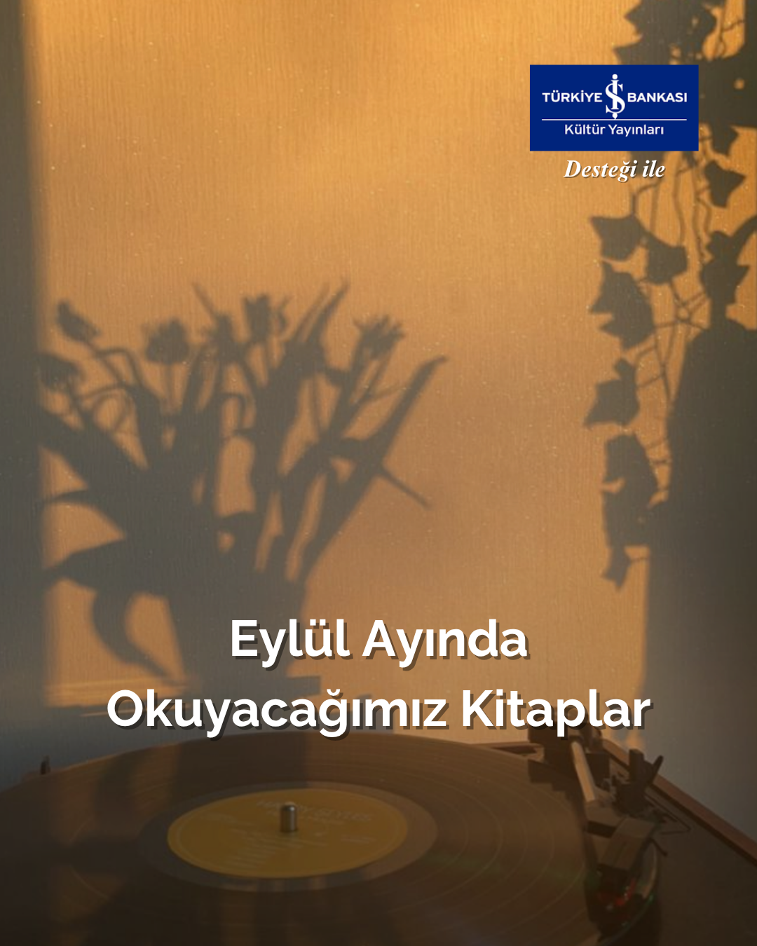 New Image
